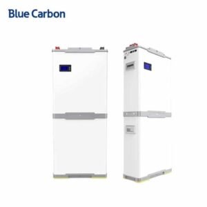 Blue Carbon 5kWh 48V Stackable Lithium Battery BCT-ST-V-48(P) with Smart Screen for Solar Energy Storage